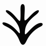 cropped-smalllogo-1.png